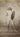 Rare Indian Photographs. The Walter Clode Collection, an Exhibition at The Royal Opera Arcade Gallery, May 25th - 30th.