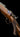 A Brace Of Superb Hartmann & Weiss Bolt Action Rifles