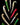 Indian Daggers - Objects Of Beauty