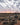 Kalahari Calling. Guest post by Colin Partridge.