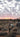 Kalahari Calling. Guest post by Colin Partridge.
