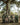 A Tanzanian Safari Album 2014