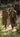 The Men’s & Women’s Safari Collection for 2026