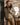 The Ultimate Safari Hide Jacket