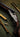 An Old J. Rigby Rising Bite Sidelock Rifle No. 16611 .256 Mannlicher