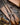 A Needle in a Haystack. My Search for a Westley Richards Gun of my Own.