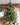 A Very Merry Christmas from Westley Richards & The Explora.