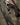 A WESTLEY RICHARDS .303 FARQHARSON TAKE DOWN RIFLE