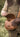 Time to Invest in Westley Richards Sporting Leather