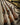 Small Selection Of Used Guns