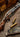 'As New' Westley Richards .500 Sidelock Ejector