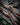 Stunning Pair Of Modern Westley Richards Game Guns