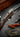 An Elegant Westley Richards Small Bore For Texas Quail And Dove
