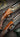 Subtle Brutality: a Westley Richards .470NE and .500NE Pair