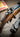 Classic Format Westley Richards .404 Magazine Rifle