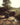 Westley Richards x Tito West Safari Collection Campaign