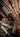 Westley Richards Double Rifles: Refining the .500 Nitro Express