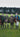 WESTLEY RICHARDS GUNMAKERS SHOOT AT KEMPTON