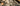 Highlights from the Winter Sale 2024