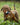 Gundog turned Truffle Hunter
