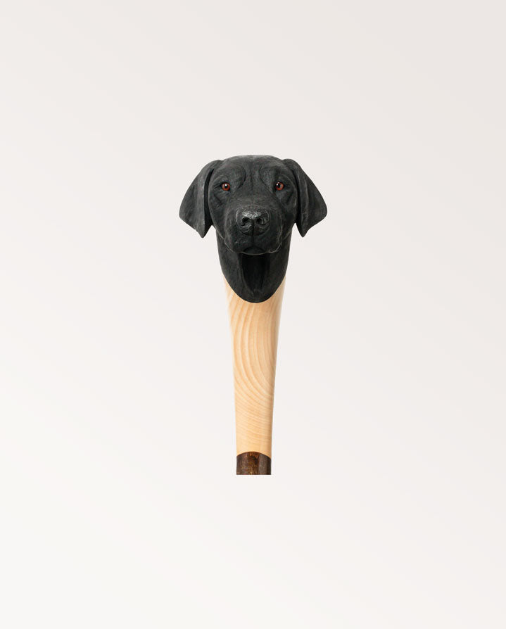 Black Labrador Stick