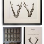 RED STAG AND ROEBUCK ANTLER PRINTS