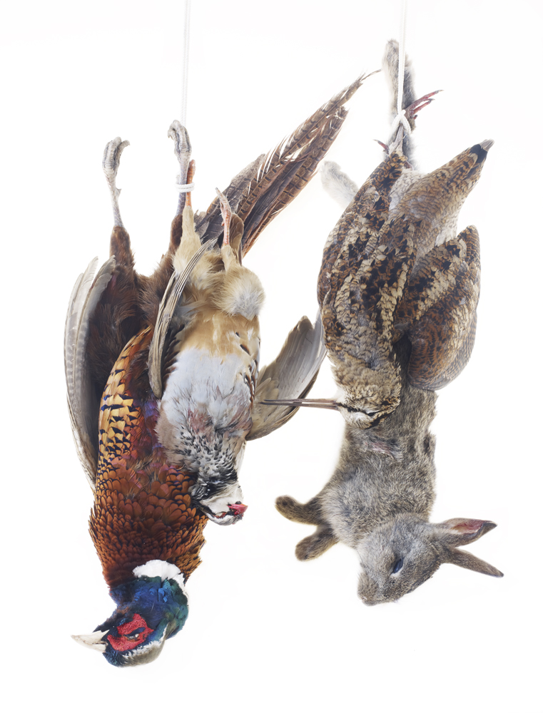 Cock Pheasant, Red Leg Partridge, Woodcock, Rabbit