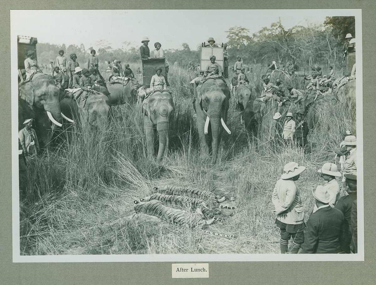 The Indian Durbar Tour 1911 Hunting in Nepal