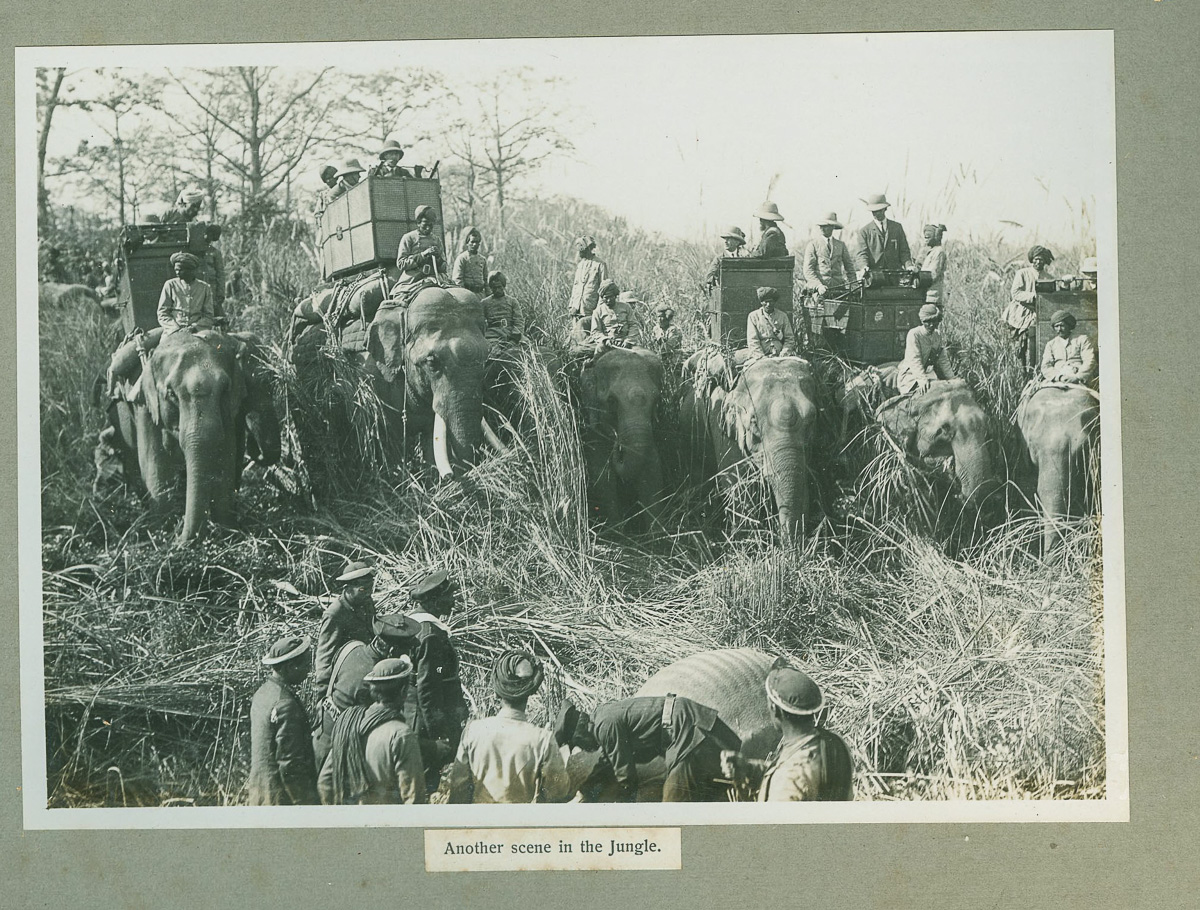 The Indian Durbar Tour 1911 Hunting in Nepal