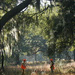 SHOOTING ESTATES IN AMERICA. TERRY ALLEN PHOTOGRAPHS