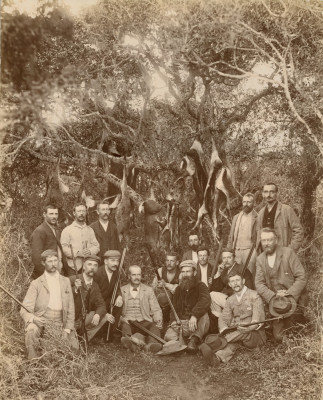 Antique Hunting Photographs. A Springbok Hunt.