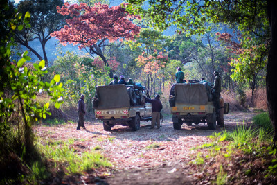 Blog Post Featured Image