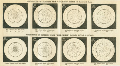 Shot Patterns from True Cylinder and Full Choke Guns.