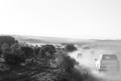 The Monteria. A Traditional Spanish Hunt.