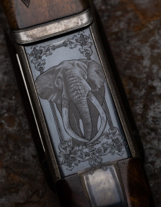 Bull Elephant on WR rifle