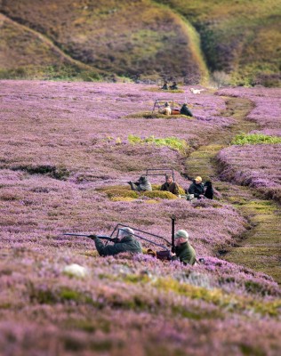 2015 Grouse Season Report by Mark Osborne.