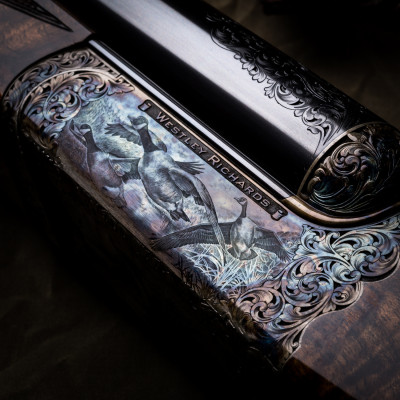 The First Pair of Westley Richards 4 Bore Wildfowl Guns.