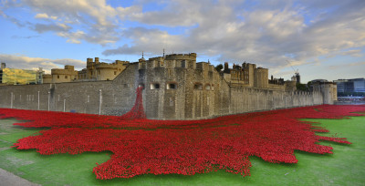 Remembrance Day.   Lest We Forget.