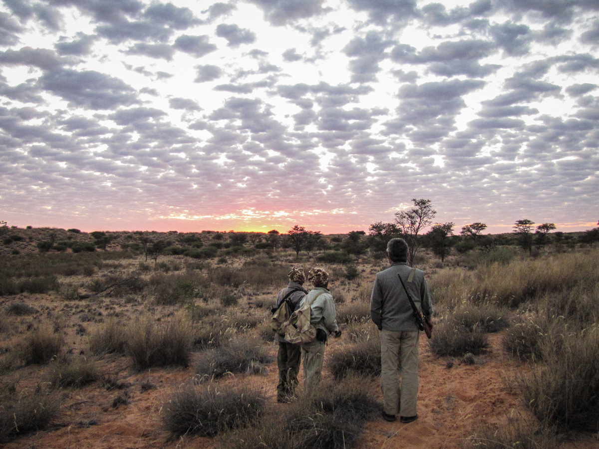 Kalahari Calling. Guest post by Colin Partridge.