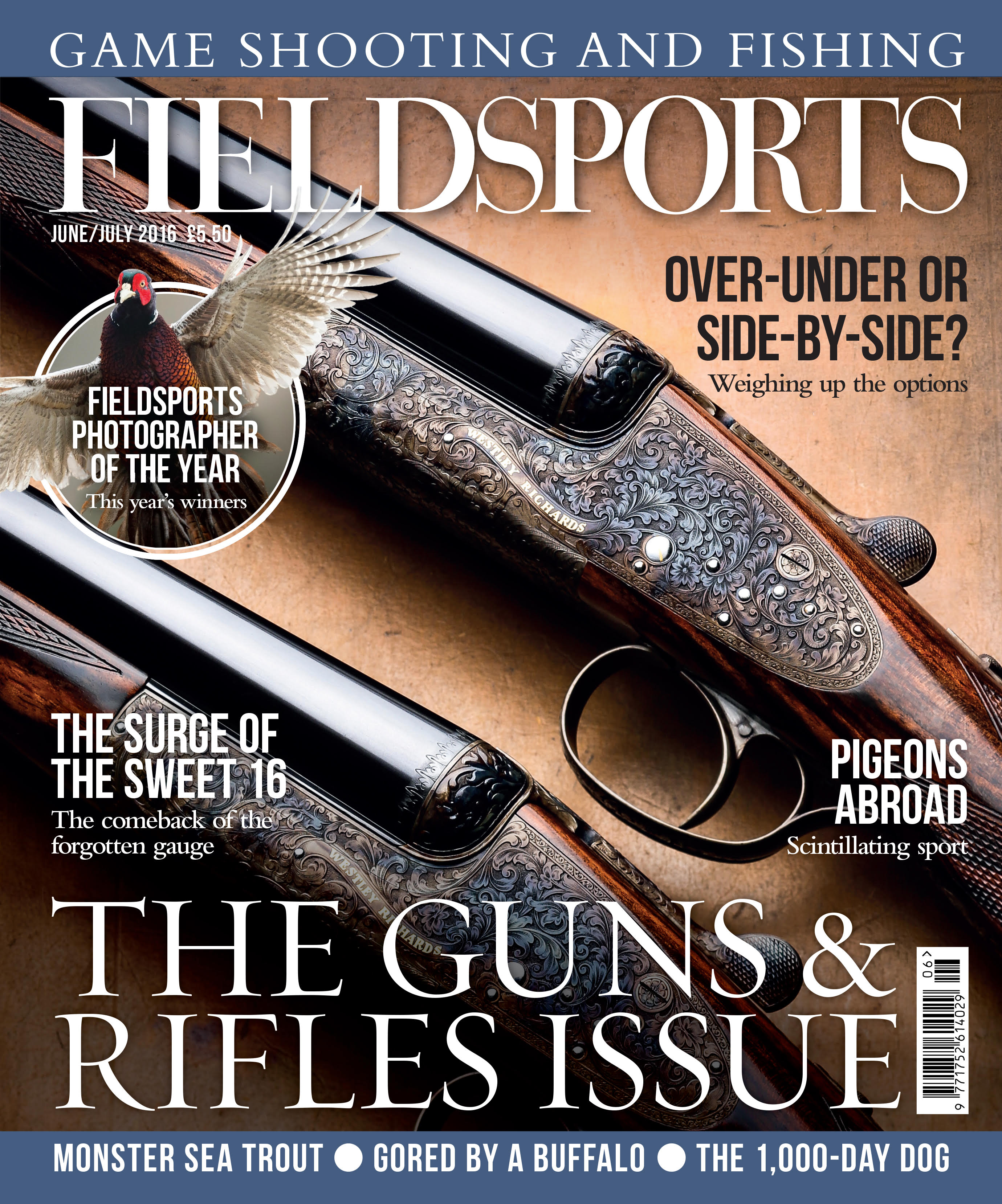 Fieldsports June 2016