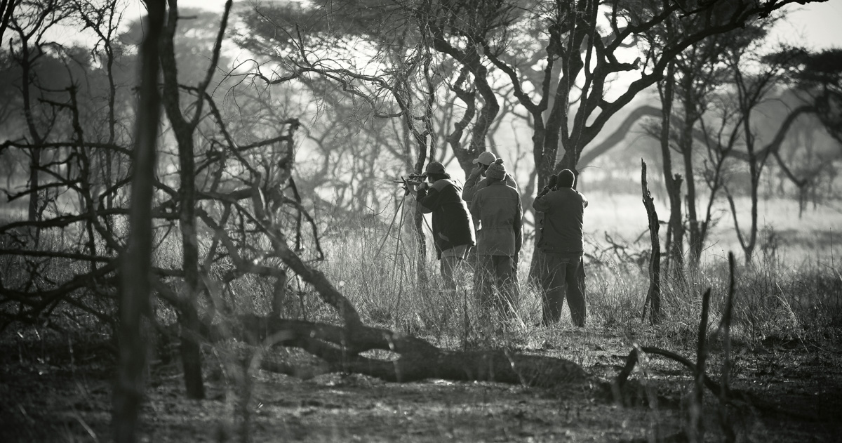 The African Shooting Sticks - Accurate Shooting in the Bush.