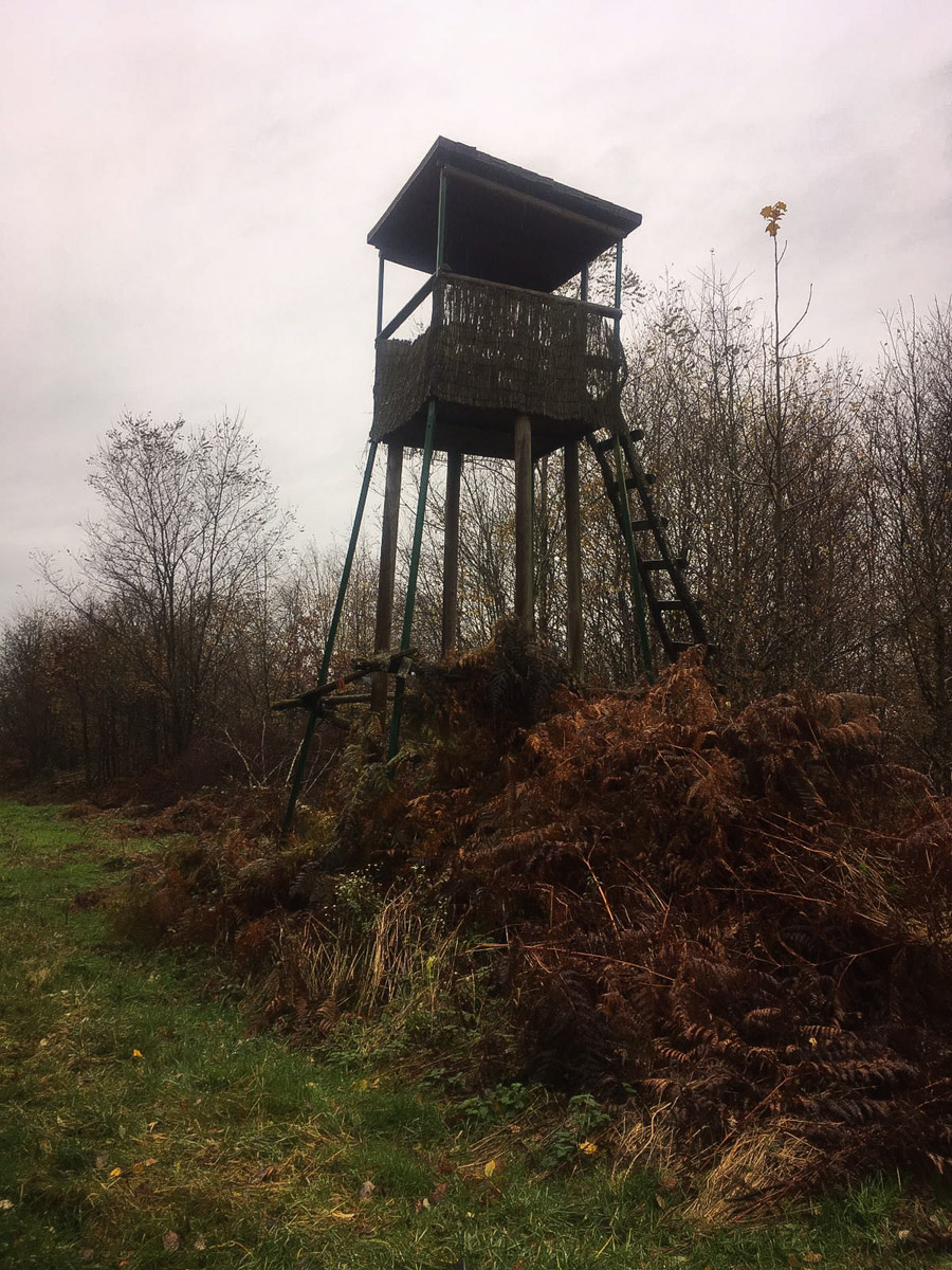 A Weekend Wild Boar Hunting in France.