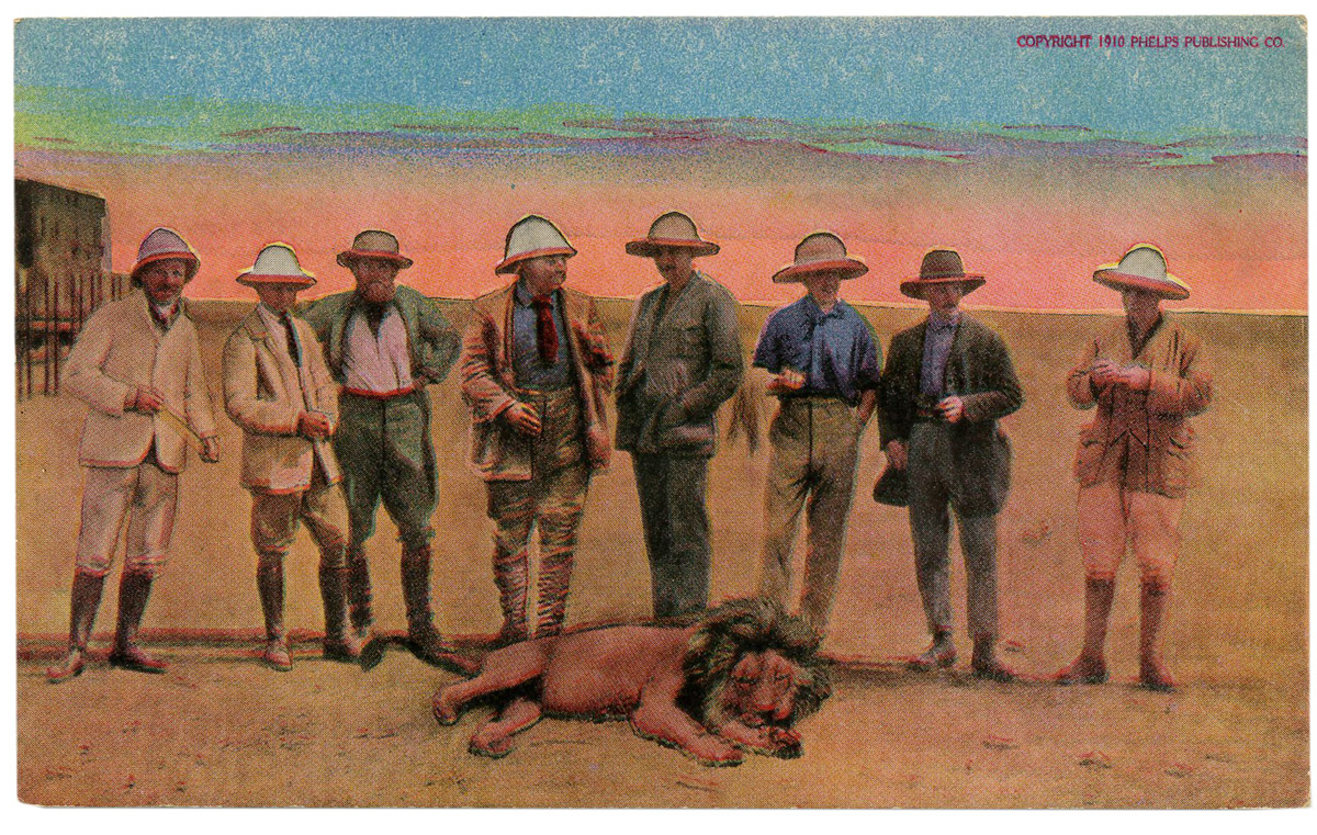 Some Vintage Safari Postcards Circa 1910