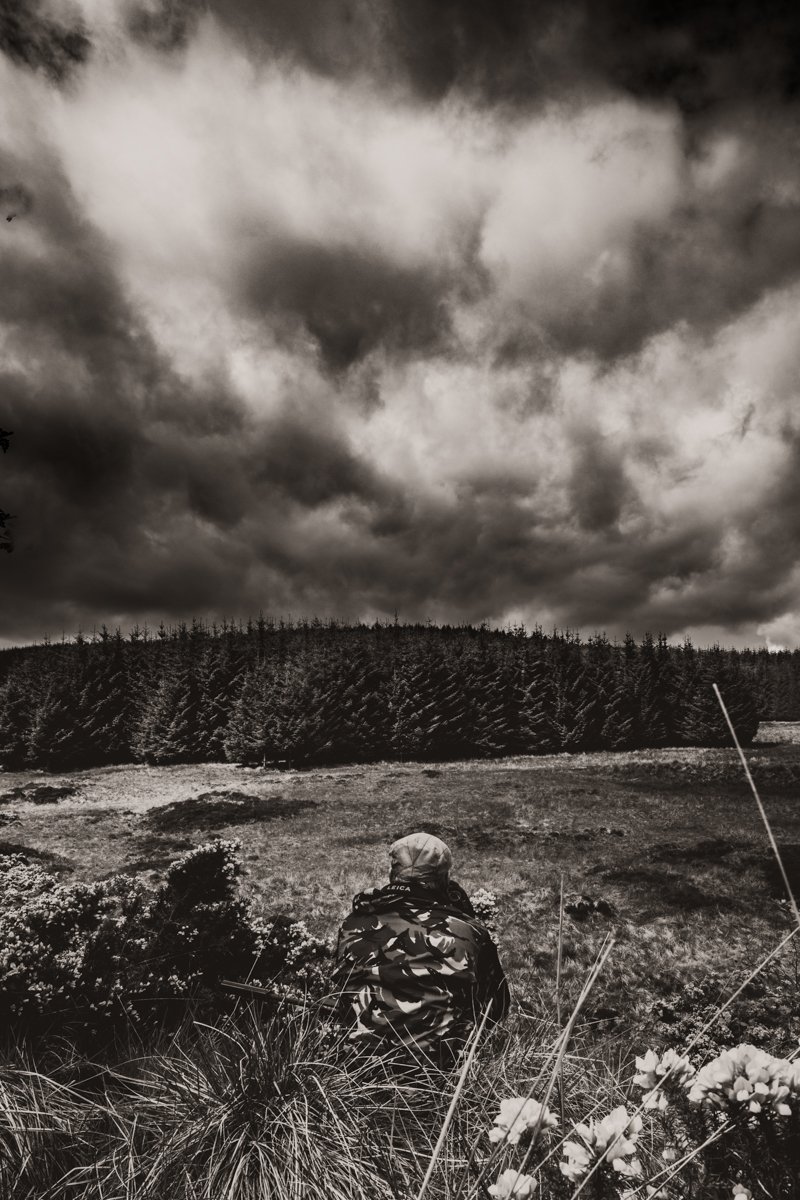 Stalking Roe Bucks in Scotland