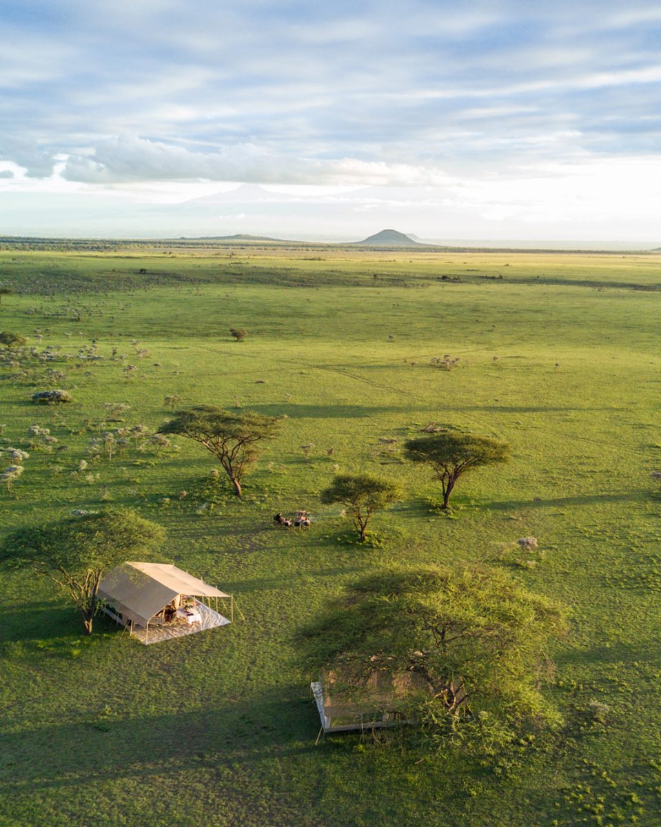 Spring Exclusive for Explora Club Members - The Original Ker & Downey Safaris