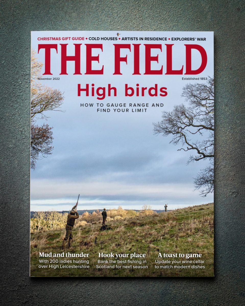 Thefield-1