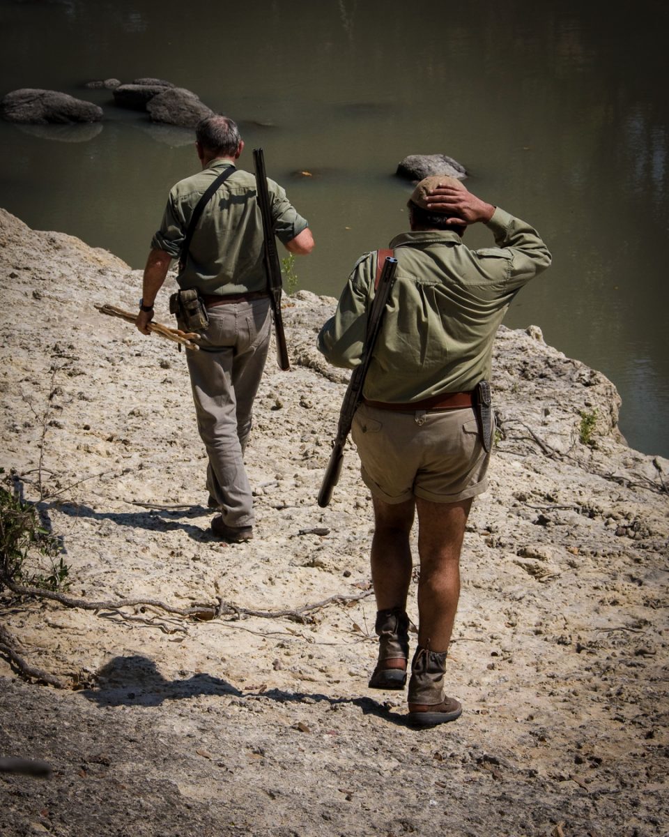 Outfitting Colours for Safari