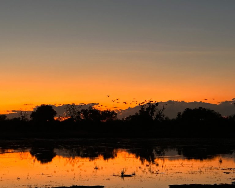 Silvio_Okavango-River---Namibia