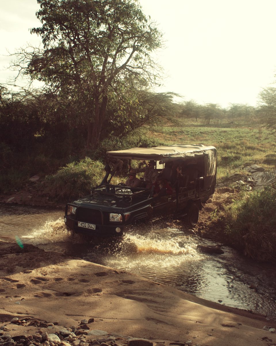 Westley Richards x Tito West Safari Collection Campaign