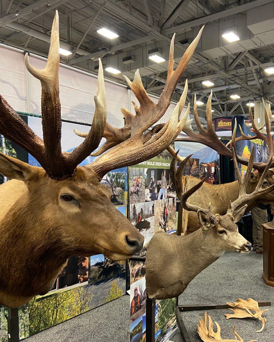 Dallas Safari Club & Safari Club International Conventions 2026